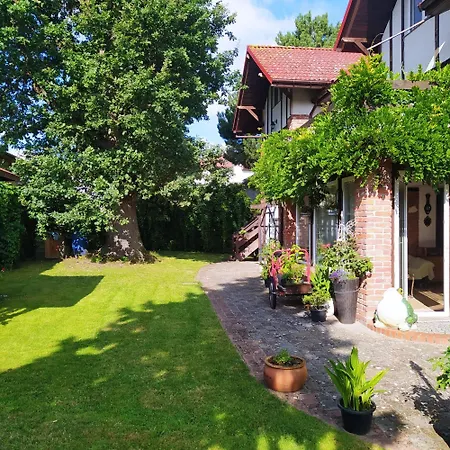 Zlota Rybka 3*