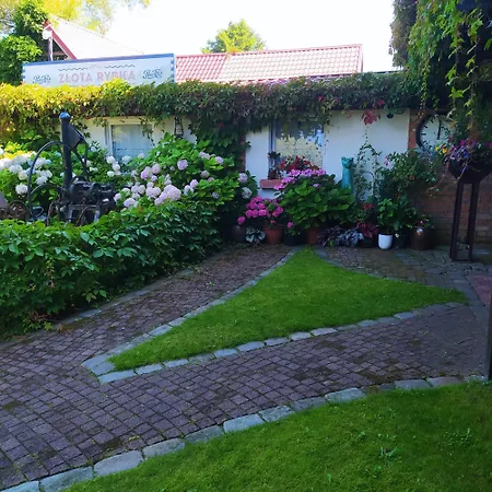 Zlota Rybka 3* Rowy